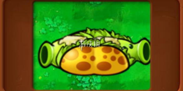 植物大战僵尸杂交版热狗射手属性介绍