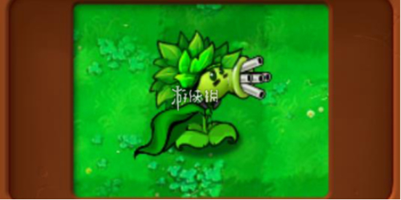 植物大战僵尸杂交版狂野机枪射手属性介绍