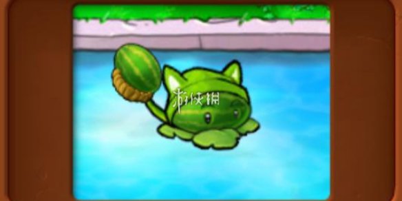 植物大战僵尸杂交版西瓜香蒲属性介绍
