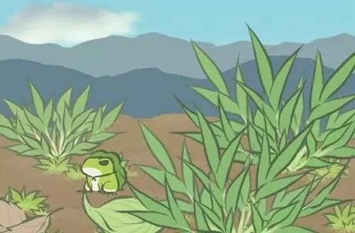 旅行青蛙home键刷三叶草方法一览 该怎么用home键刷三叶草