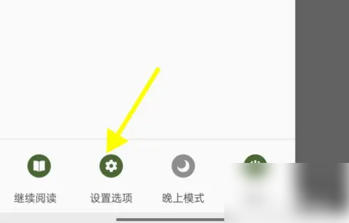 静读天下专业版设置 静读天下设置擦动屏幕左边沿调节屏幕亮度方法