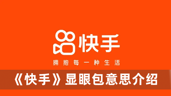 快手显眼包意思介绍_显眼包