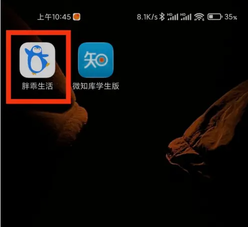 企鹅共享app怎么办会员 胖乖生活我的VIP位置介绍