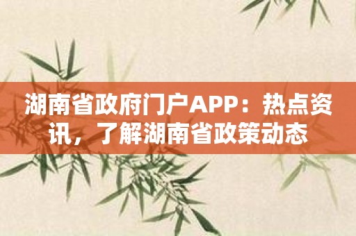 湖南省政府门户APP：热点资讯，了解湖南省政策动态
