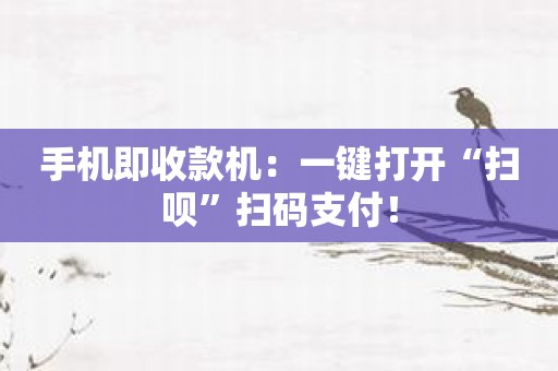 手机即收款机：一键打开“扫呗”扫码支付！