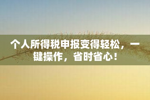 个人所得税申报变得轻松，一键操作，省时省心！