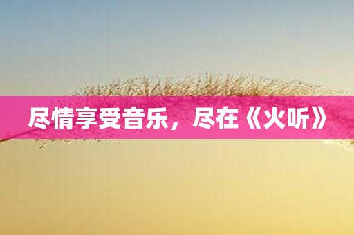 尽情享受音乐，尽在《火听》