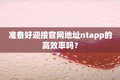 准备好迎接官网地址ntapp的高效率吗？
