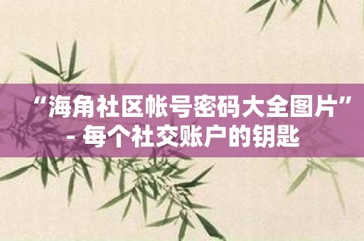 “海角社区帐号密码大全图片”- 每个社交账户的钥匙