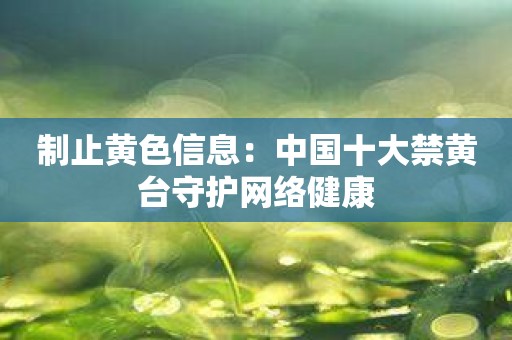 制止黄色信息：中国十大禁黄台守护网络健康