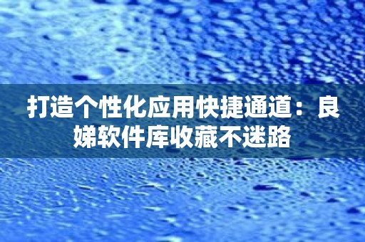 打造个性化应用快捷通道：良娣软件库收藏不迷路
