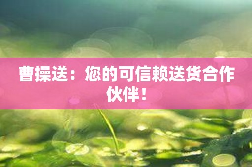 曹操送：您的可信赖送货合作伙伴！
