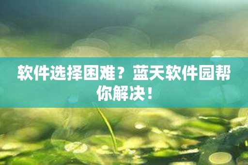软件选择困难？蓝天软件园帮你解决！