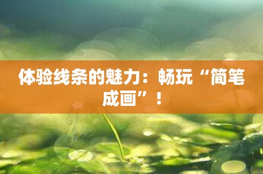体验线条的魅力：畅玩“简笔成画”！
