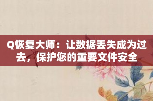 Q恢复大师：让数据丢失成为过去，保护您的重要文件安全