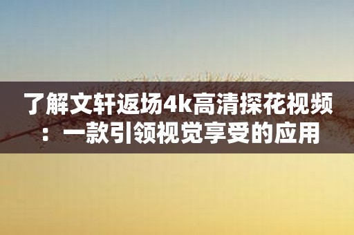 了解文轩返场4k高清探花视频：一款引领视觉享受的应用