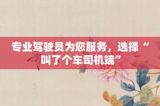 专业驾驶员为您服务，选择“叫了个车司机端”