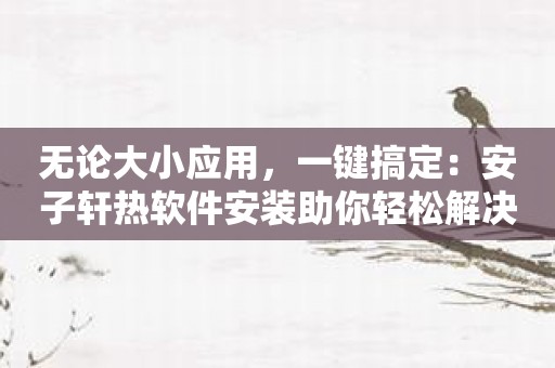 无论大小应用，一键搞定：安子轩热软件安装助你轻松解决