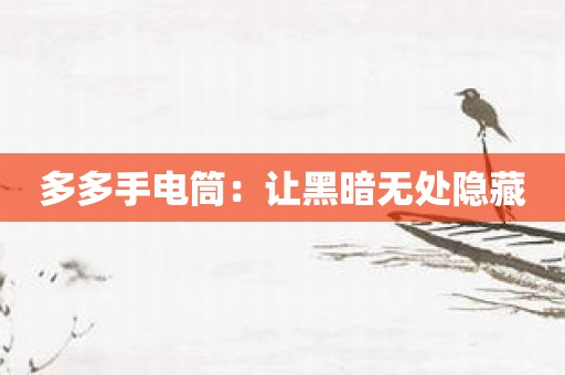 多多手电筒：让黑暗无处隐藏
