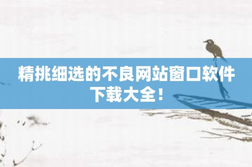 精挑细选的不良网站窗口软件下载大全！