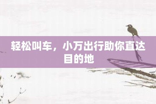 轻松叫车，小万出行助你直达目的地