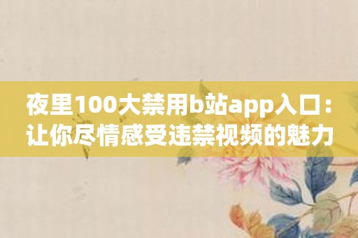 夜里100大禁用b站app入口：让你尽情感受违禁视频的魅力