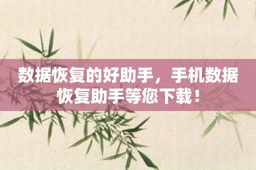 数据恢复的好助手，手机数据恢复助手等您下载！