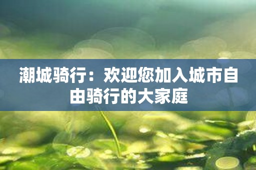 潮城骑行：欢迎您加入城市自由骑行的大家庭