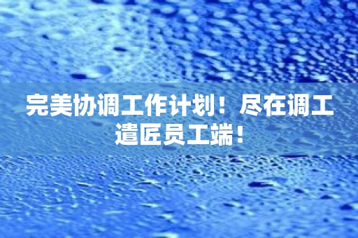 完美协调工作计划！尽在调工遣匠员工端！