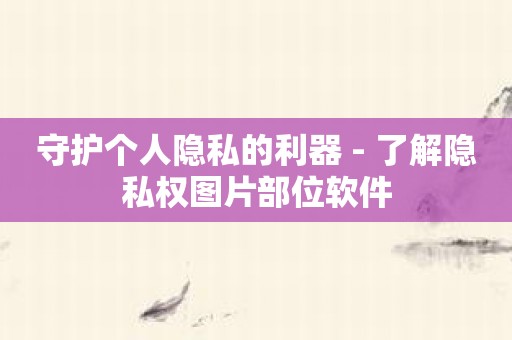 守护个人隐私的利器 - 了解隐私权图片部位软件