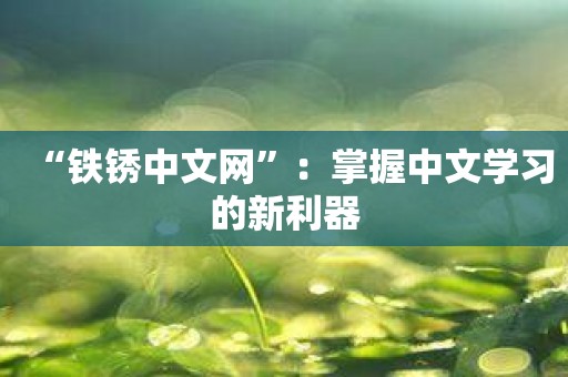 “铁锈中文网”：掌握中文学习的新利器