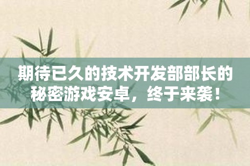期待已久的技术开发部部长的秘密游戏安卓，终于来袭！