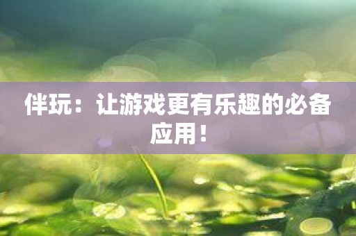 伴玩：让游戏更有乐趣的必备应用！
