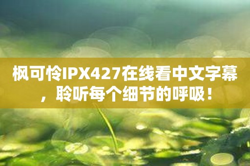 枫可怜IPX427在线看中文字幕，聆听每个细节的呼吸！