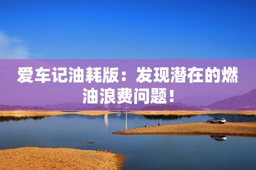 爱车记油耗版：发现潜在的燃油浪费问题！