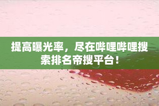 提高曝光率，尽在哔哩哔哩搜索排名帝搜平台！