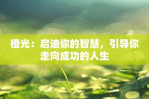 橙光：启迪你的智慧，引导你走向成功的人生