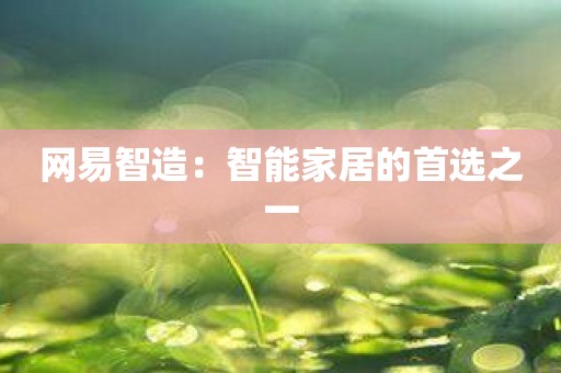 网易智造：智能家居的首选之一