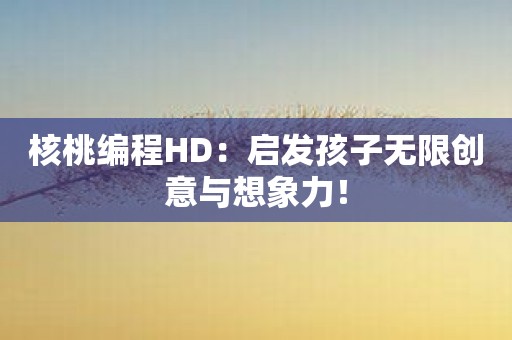 核桃编程HD：启发孩子无限创意与想象力！