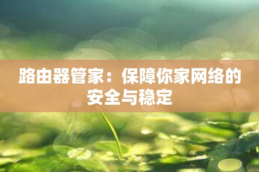 路由器管家：保障你家网络的安全与稳定