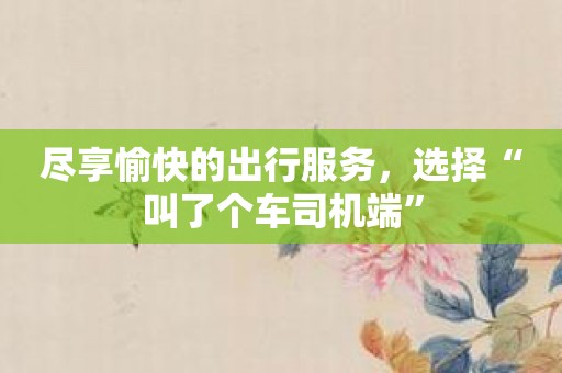 尽享愉快的出行服务，选择“叫了个车司机端”